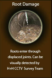 CCTV Drainage Inspections and Surveys - Root Infestations